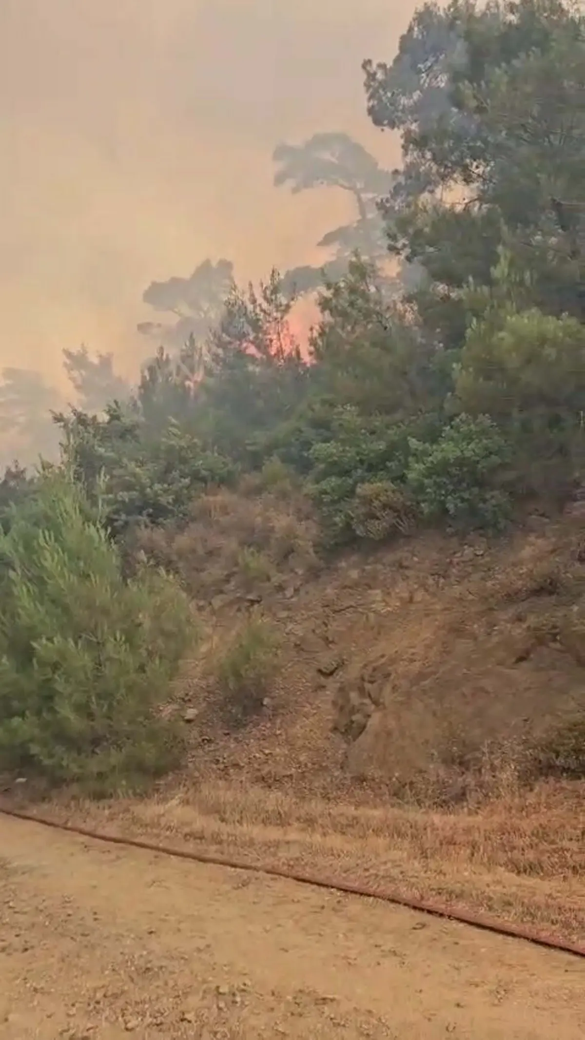 balikesirde-orman-yangini-sarnic-mahallesi-bosaltildi-5PzVgIyv.jpg