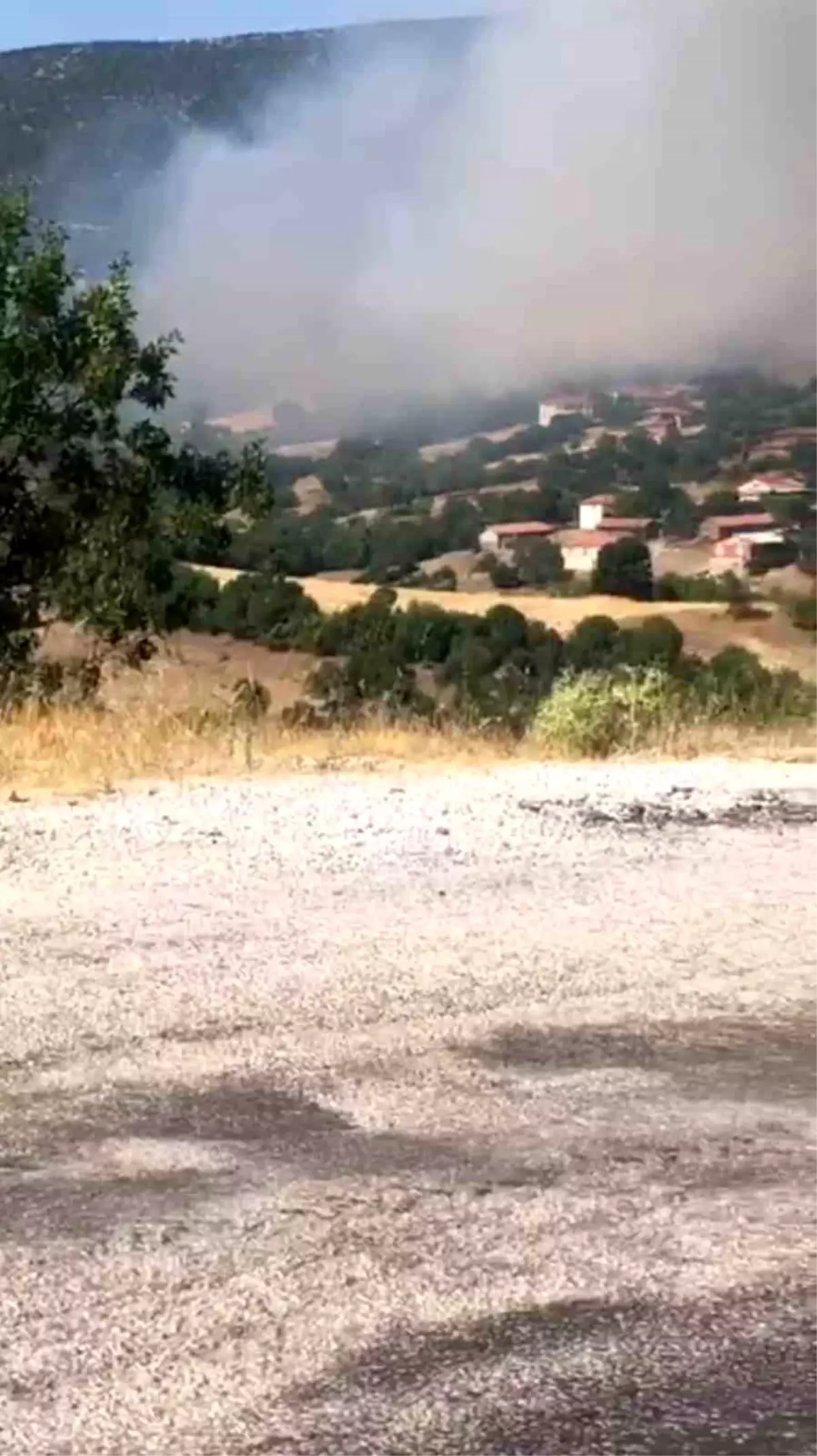 balikesirin-kepsut-ilcesindeki-orman-yangini-koyu-tehdit-ediyor-X4JmZFcQ.jpg