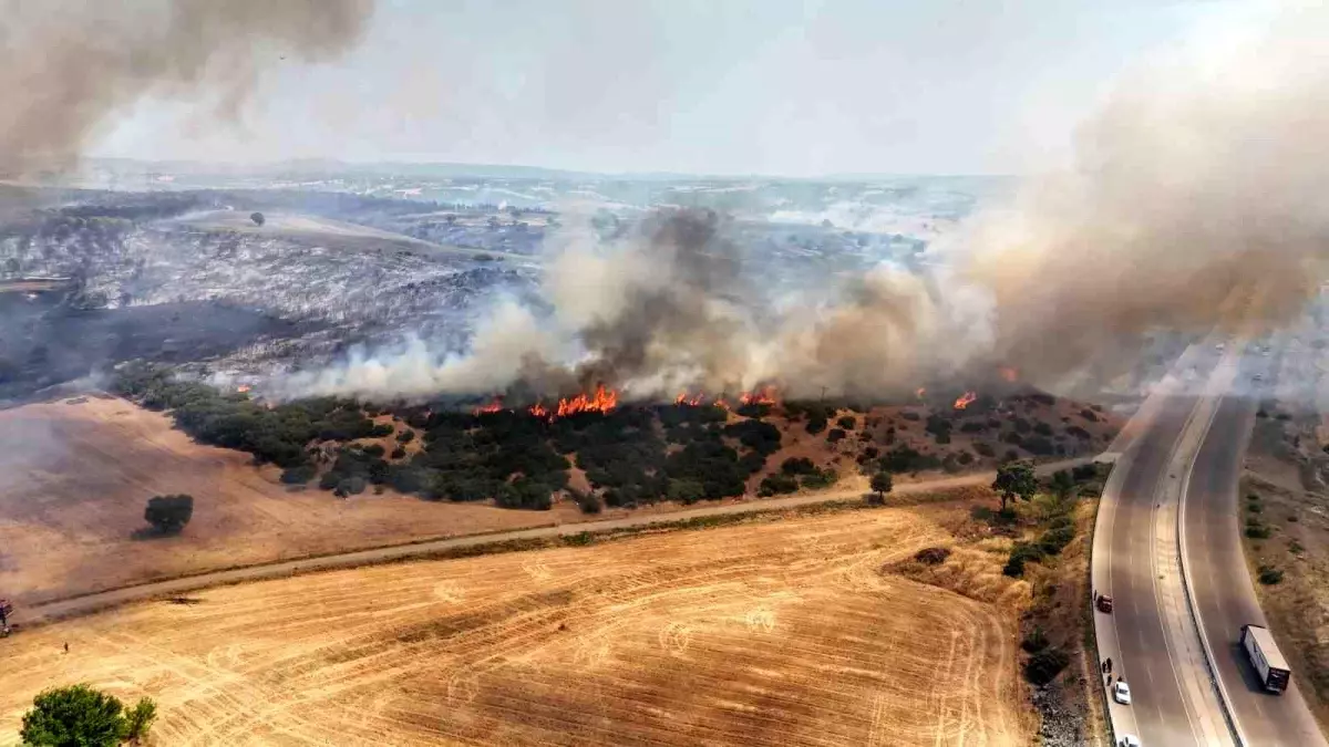 canakkalede-tarim-topraginda-yangin-havadan-ve-karadan-gayret-devam-ediyor-fERAhCB3.jpg