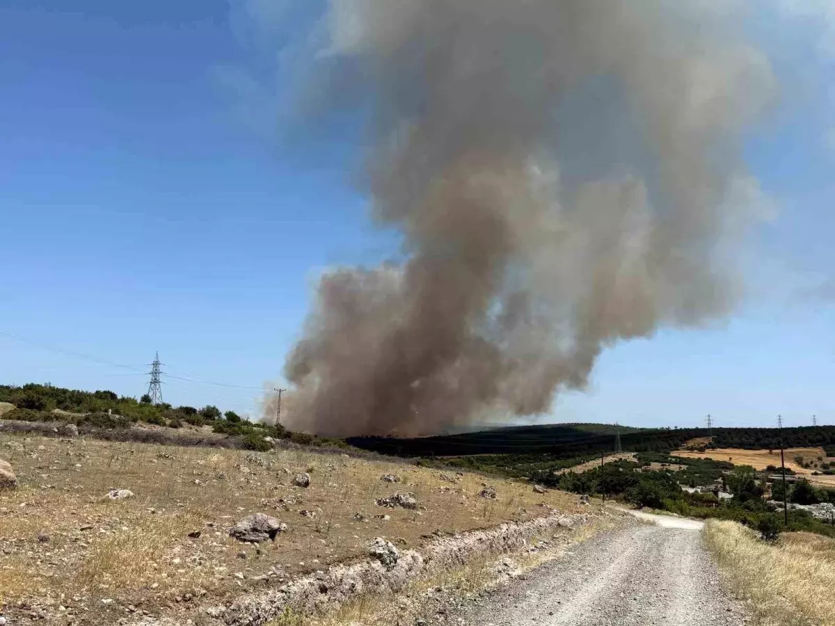 canakkalede-tarim-yerinde-yangin-Y2ZvUbve.jpg
