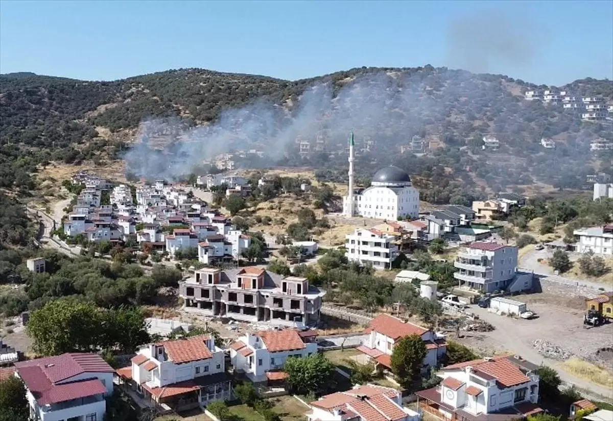 dikilide-makilik-yanginina-gruplar-mudahale-ediyor-DPWJh7RY.jpg