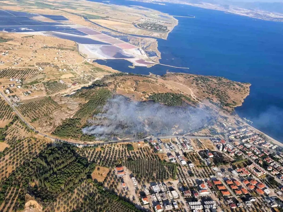 izmir-dikilide-orman-yanginina-mudahale-basladi-Nz6vquhA.jpg