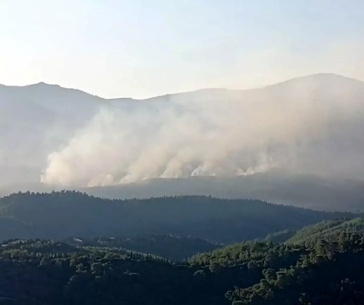 izmirde-orman-yanginina-hava-mudahalesi-basladi-Q2YQBwp5.jpg