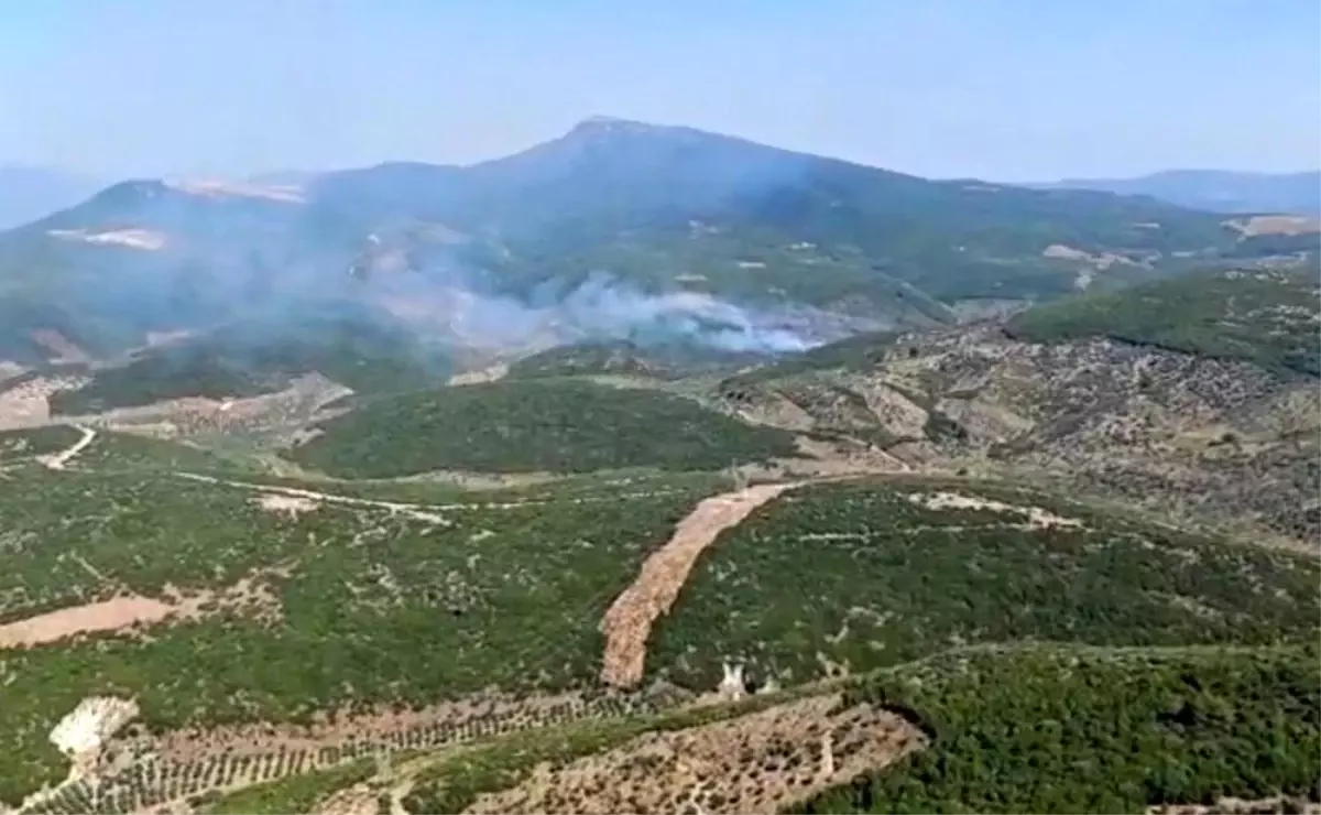izmirde-orman-yanginina-hava-ve-kara-mudahalesi-YTybvghY.jpg