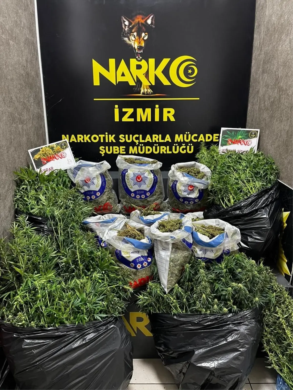 izmirde-uyusturucu-ticareti-operasyonu-6-kuskulu-tutuklandi-3jXWX1gh.jpg