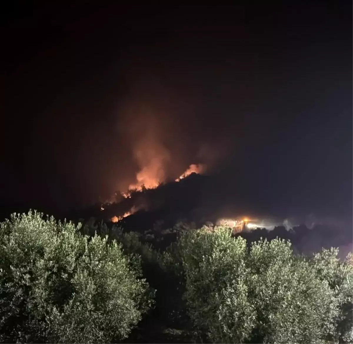izmirde-yangin-tehdidi-takimlar-seferihisarda-alevlerle-caba-ediyor-g58qv2Sv.jpg