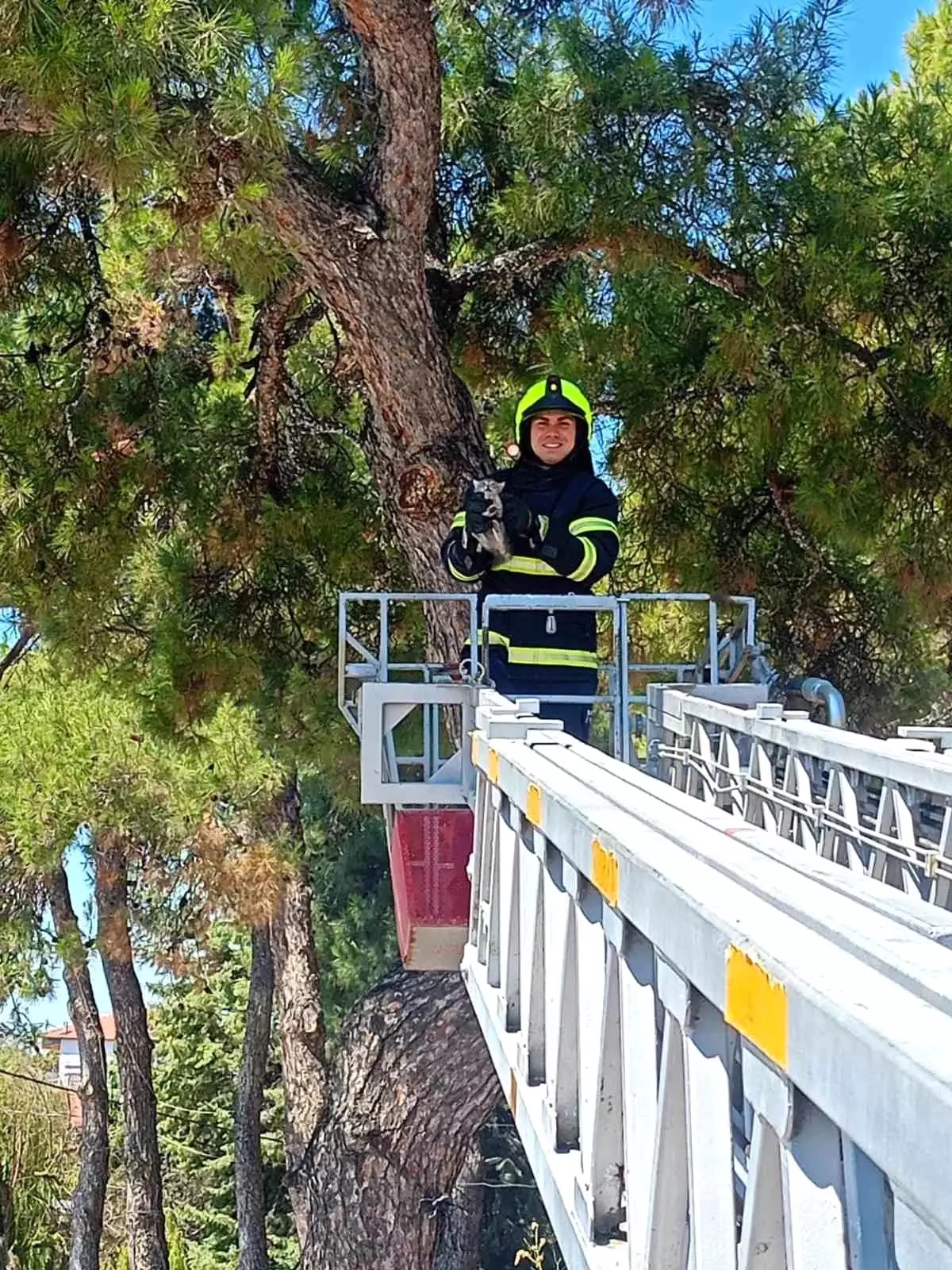 balikesirde-itfaiye-takimlari-iki-kedi-kurtardi-vQjM3Ajb.jpg