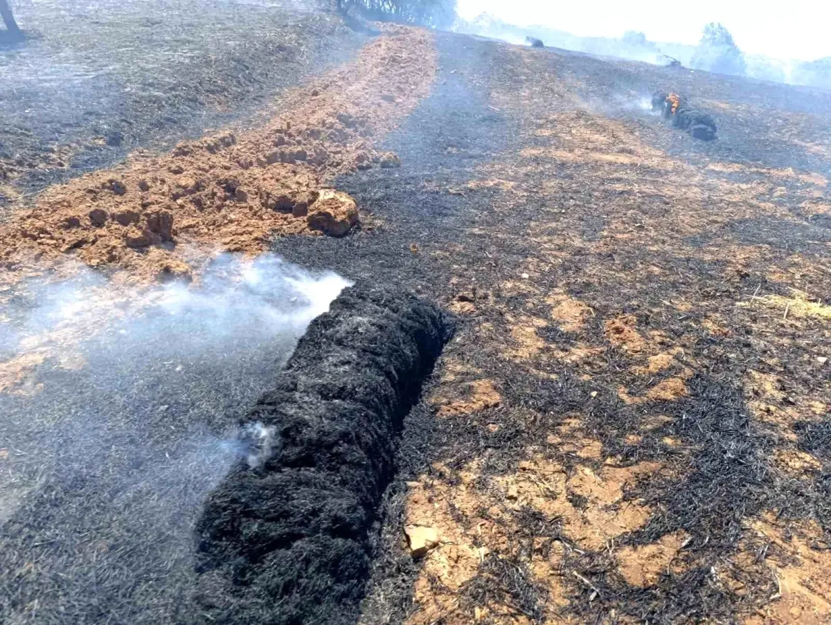 balikesirde-yangin-tarlada-bekleyen-samanlar-kul-oldu-D31KrWhW.jpg