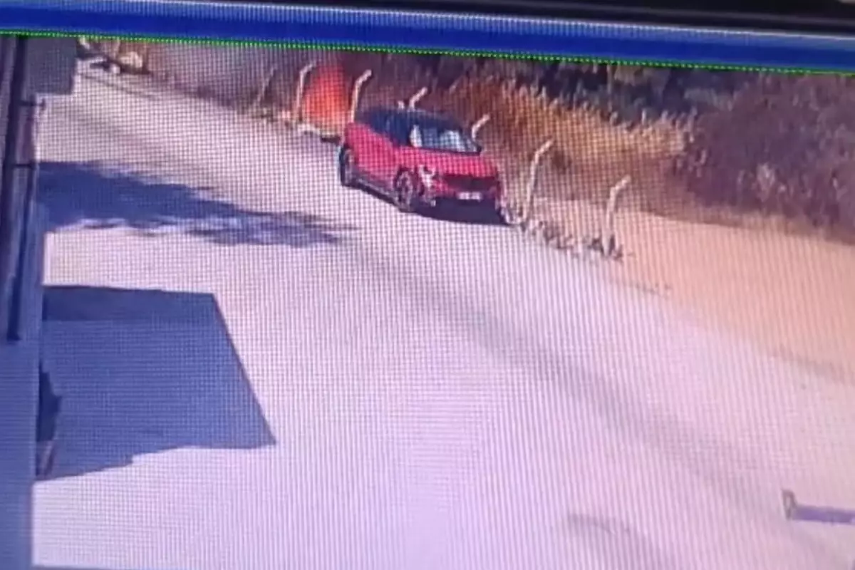 bucadaki-orman-yangininin-cikis-ani-manzarasi-ortaya-cikti-a61uaiOh.jpg