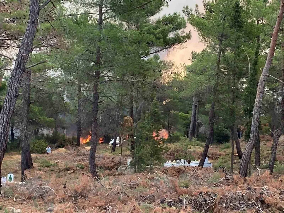 canakkalede-orman-yangini-denetim-altina-alinmaya-calisiliyor-qH6dlLT8.jpg