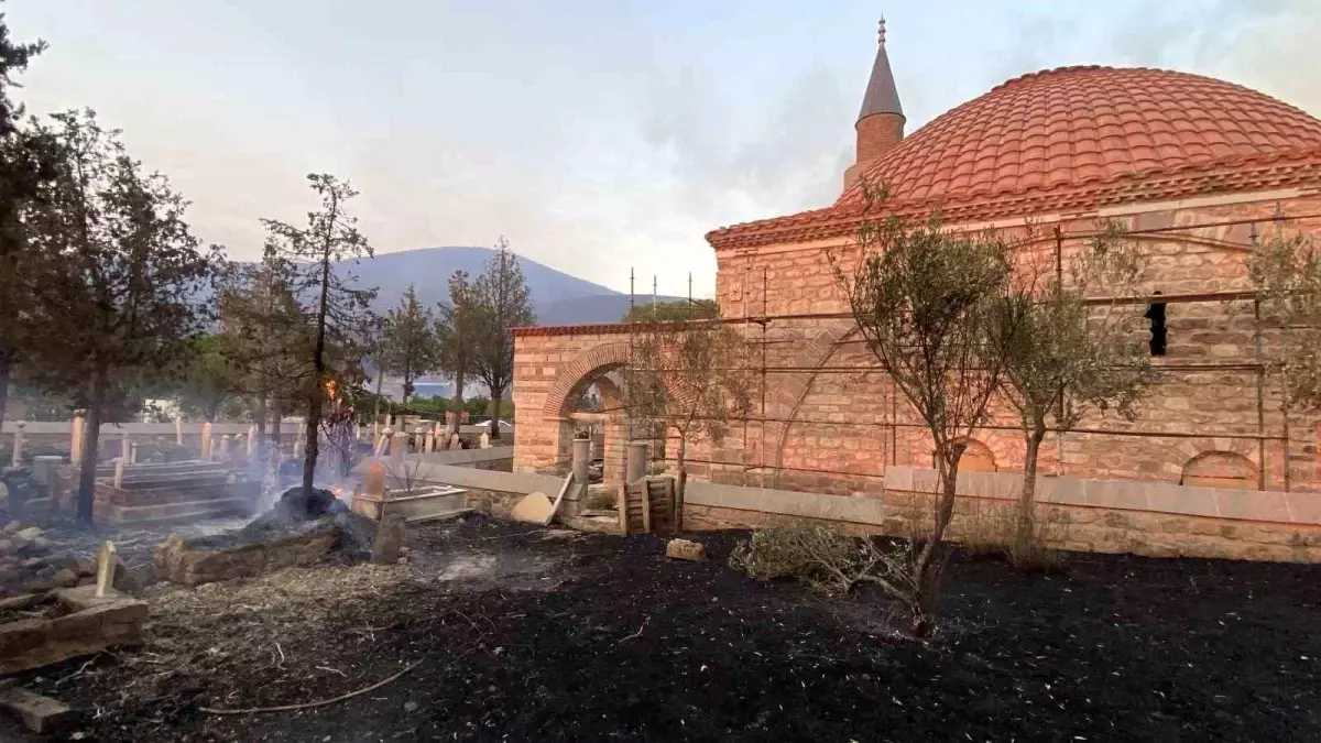 canakkalede-orman-yangini-tarihi-yerler-ve-tarim-yerleri-ziyan-gordu-WdhxPhAO.jpg