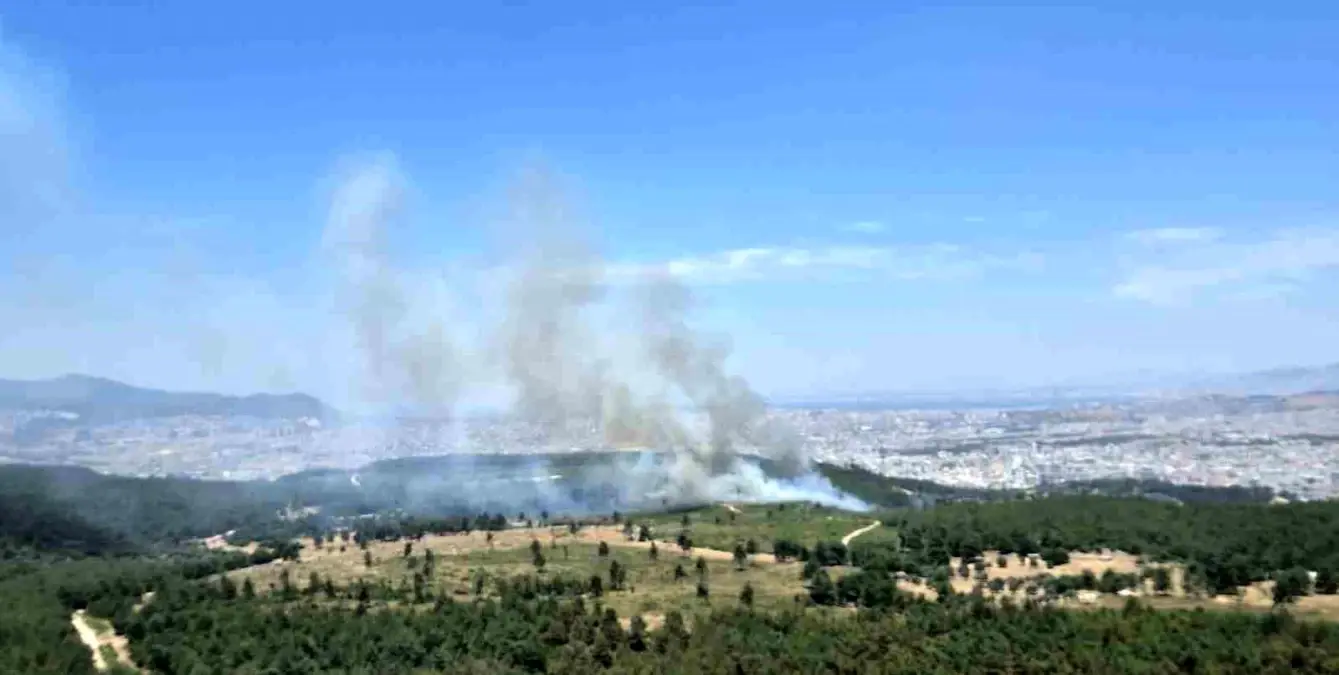 izmirde-orman-yanginina-hava-ve-karadan-mudahale-DXpj5ZHi.jpg