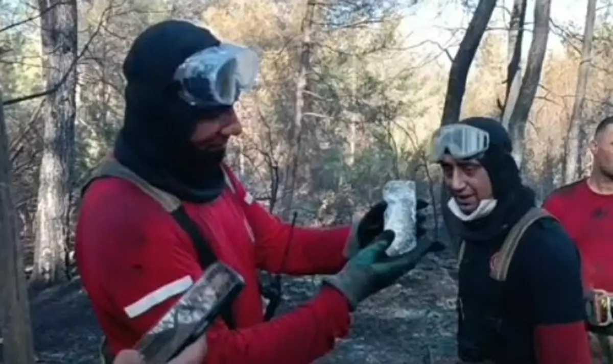 orman-yangininda-can-cekisen-balik-kurtarildi-H1ERuk8c.jpg