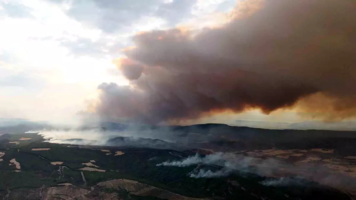 canakkale-geliboluda-orman-yanginina-mudahale-devam-ediyor-seNAS2nY.jpg