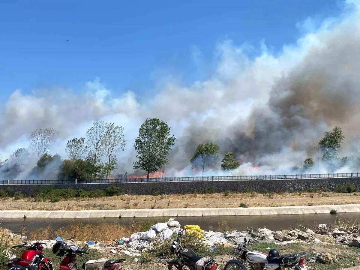 canakkalede-coplukten-ormanlik-alana-sicrayan-yanginla-caba-basladi-a2IwMQs4.jpg