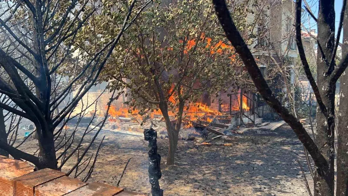 canakkalede-orman-yangini-buyuyor-mahsur-kalanlar-tahliye-ediliyor-FG3KfDNV.jpg