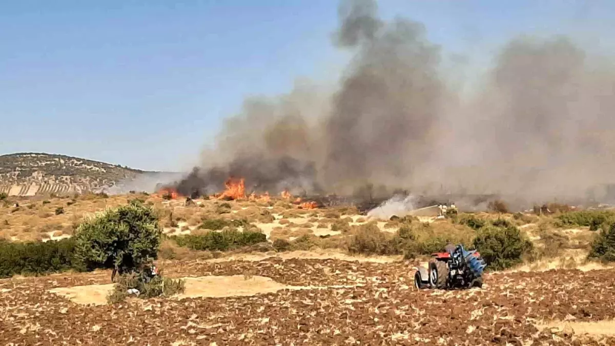 canakkalede-orman-yangini-denetim-altina-alindi-Ieuhn7r3.jpg