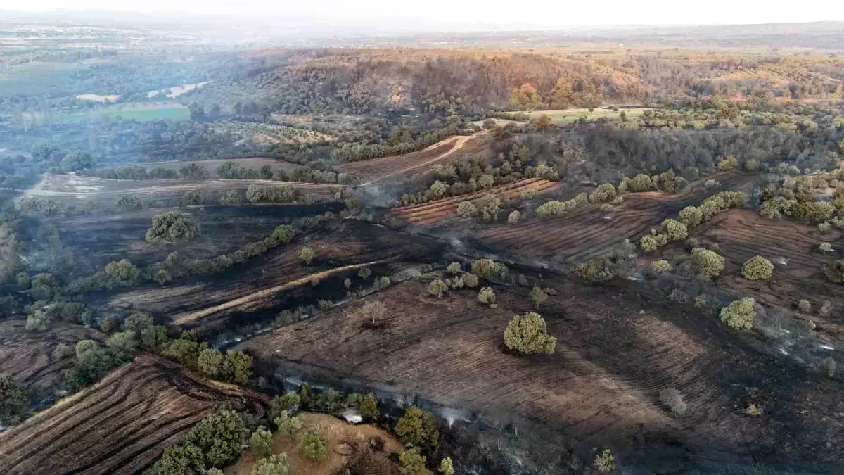 canakkalede-orman-yangini-sacakli-koyu-alevlere-teslim-oldu-f4RpDRnA.jpg
