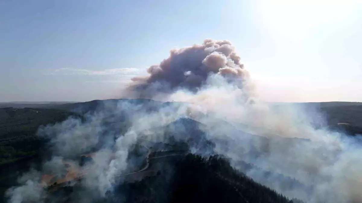 canakkalede-orman-yangini-takimlar-havadan-ve-karadan-mudahale-ediyor-fAI1uevr.jpg