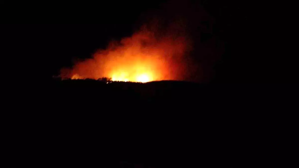 canakkalede-orman-yanginina-mudahale-basladi-g4GKhaHs.jpg