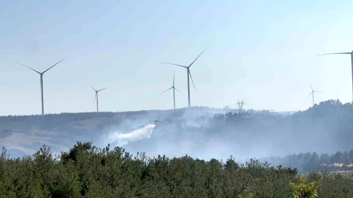 canakkalede-orman-yanginina-suratli-mudahale-dkeZ9yM5.jpg