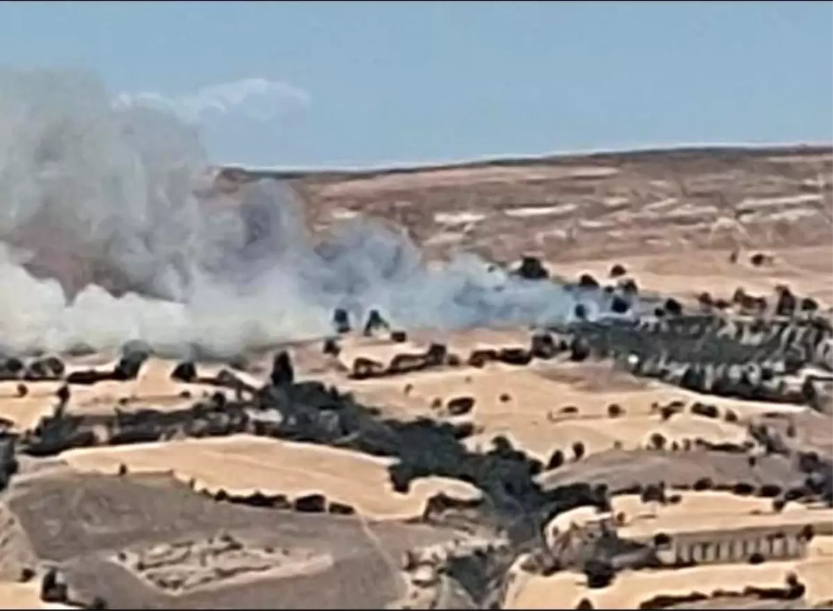 canakkalede-tarim-yerinde-yangin-cikti-erjbvCi9.jpg