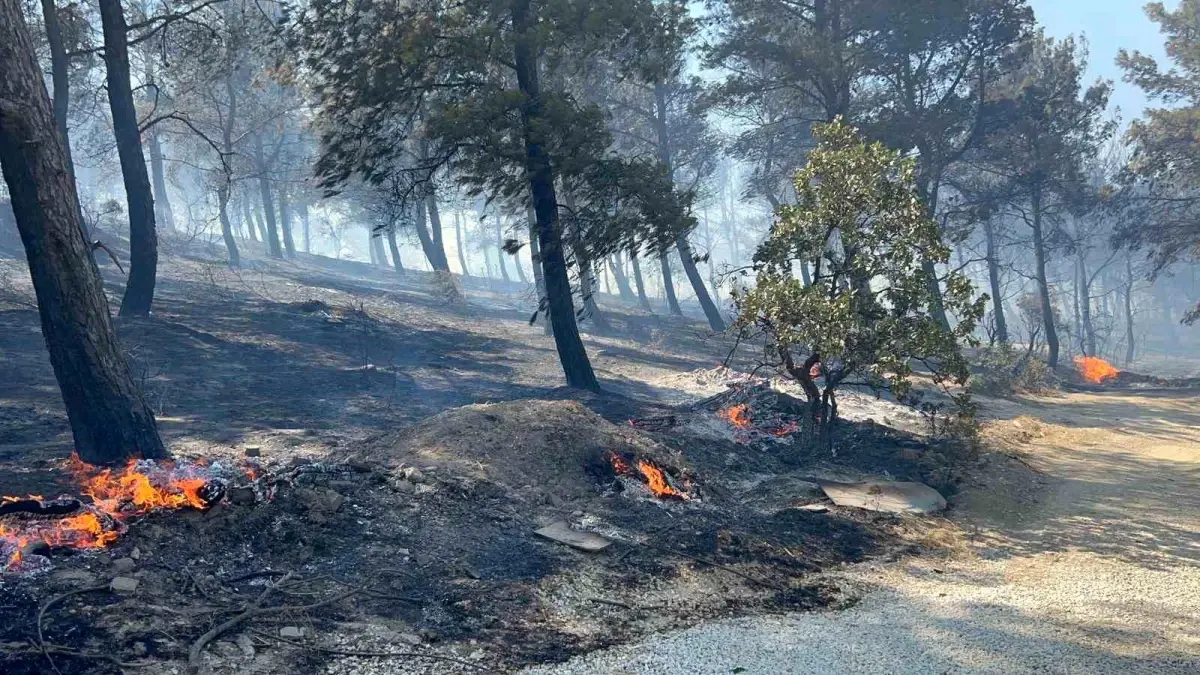 canakkalede-yangin-villalar-alevlere-teslim-oldu-eKN7sUUj.jpg
